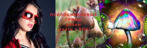 a pvp Верхний Тагил