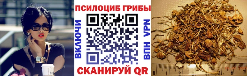 Купить закладки  Учалы  Галлюциногенные грибы Psilocybine cubensis 